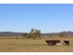 607 Woodford Dale Road, Brushgrove NSW 2460