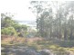 Maclean NSW 2463