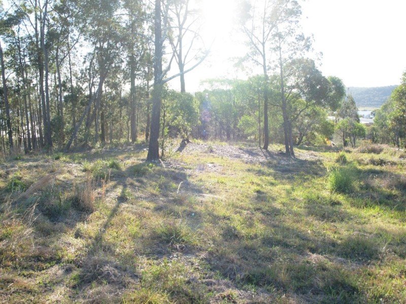 Maclean NSW 2463
