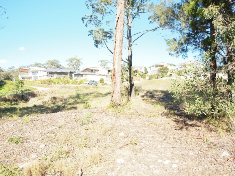 Maclean NSW 2463