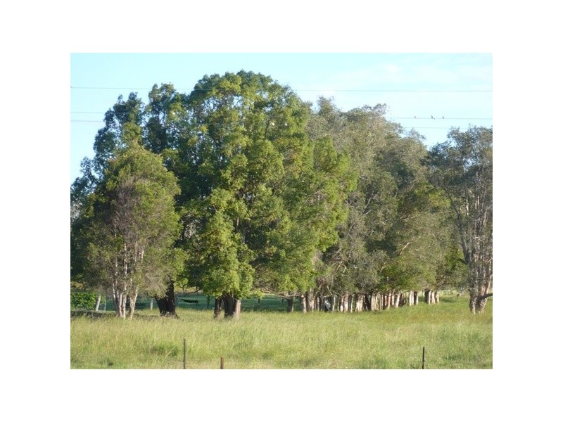 64 Jubilee Street, Townsend NSW 2463