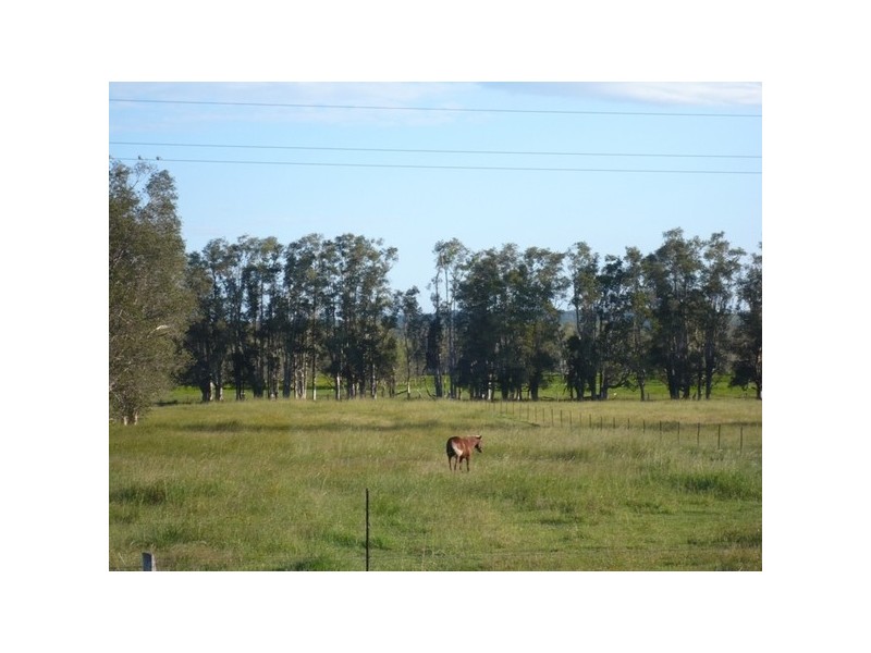 64 Jubilee Street, Townsend NSW 2463