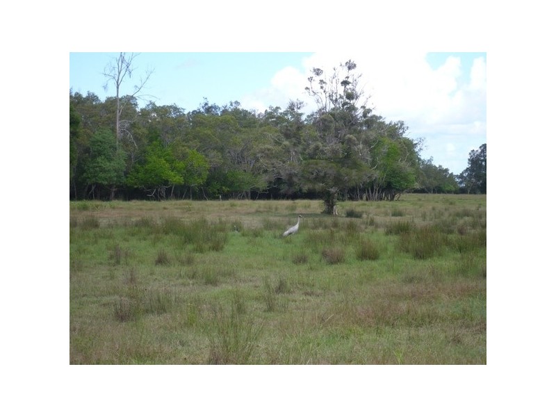 64 Jubilee Street, Townsend NSW 2463