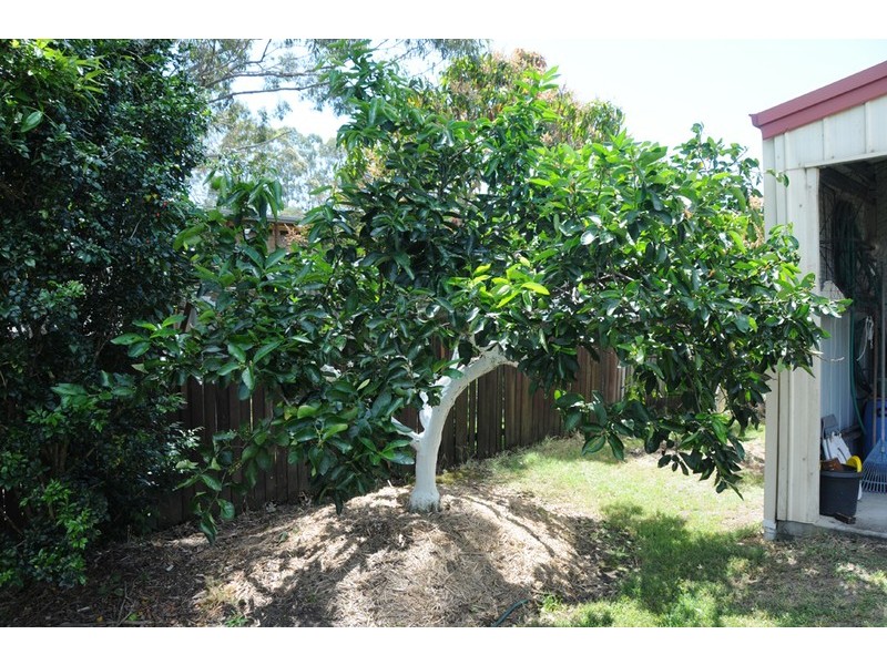 5 Emerald Place, Townsend NSW 2463