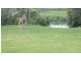376 Kings Creek Road, Lawrence NSW 2460