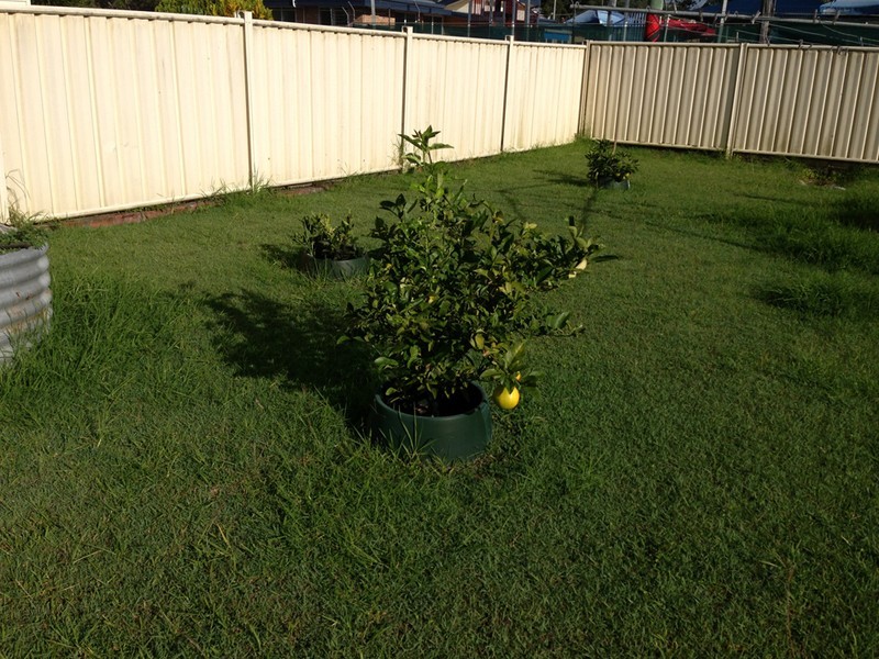 2 Morvan Street, Maclean NSW 2463