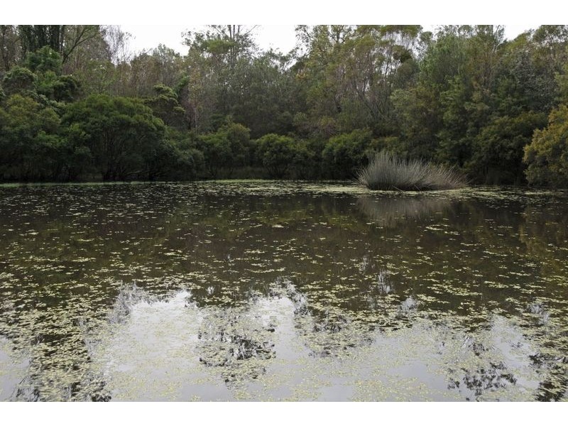 Lot 51 Summerland Way, Gurranang NSW 2460