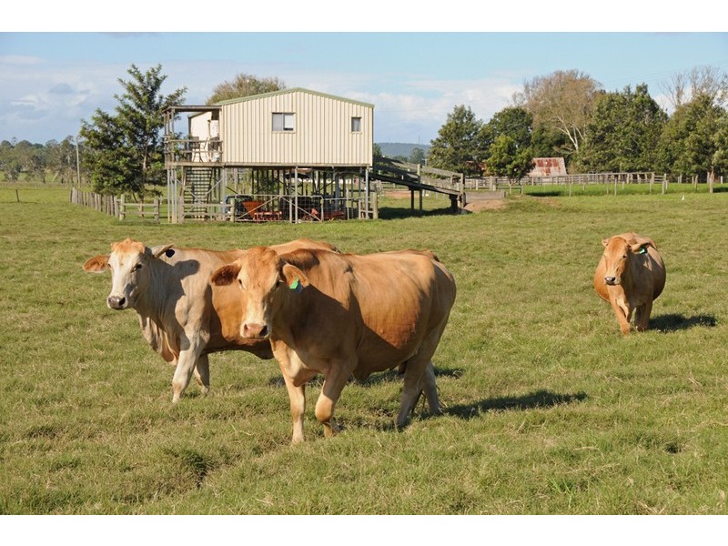 138 Sportsmans Creek Road, Lawrence NSW 2460