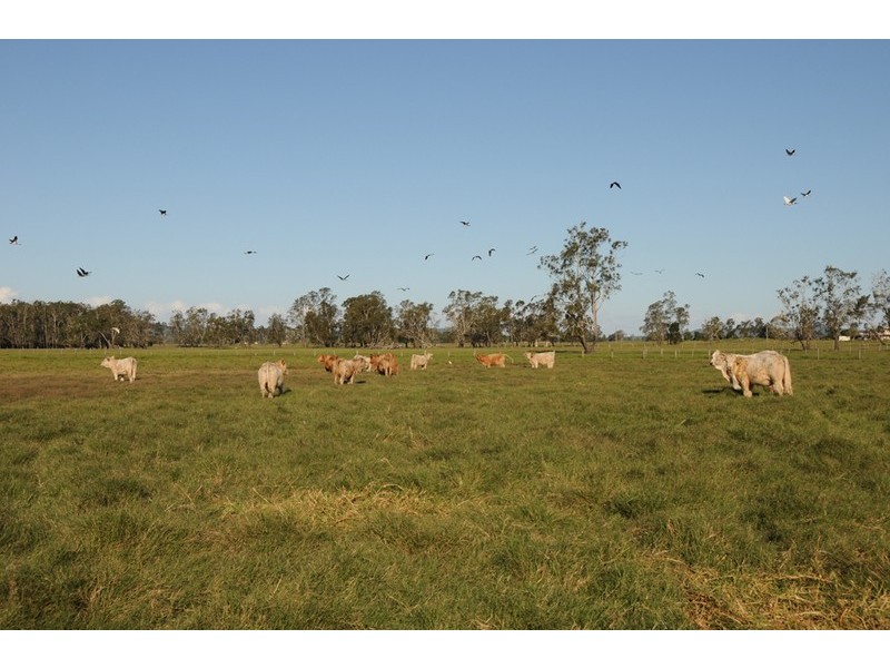 138 Sportsmans Creek Road, Lawrence NSW 2460