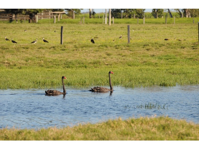 138 Sportsmans Creek Road, Lawrence NSW 2460