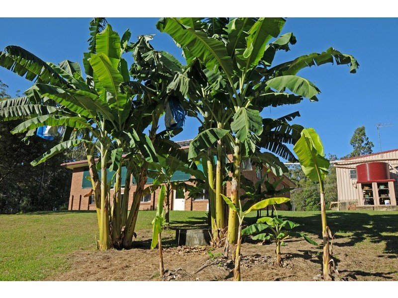 151 Crisp Drive, Ashby NSW 2463