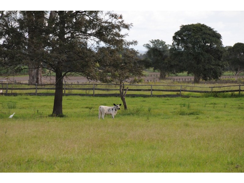 143 Ensbey Road, Lawrence NSW 2460