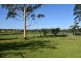 84 Back Kings Creek Road, Lawrence NSW 2460