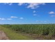 Palmers Island NSW 2463