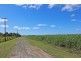 Palmers Island NSW 2463
