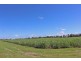 Palmers Island NSW 2463