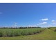 Palmers Island NSW 2463