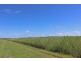 Palmers Island NSW 2463