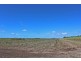 Palmers Island NSW 2463