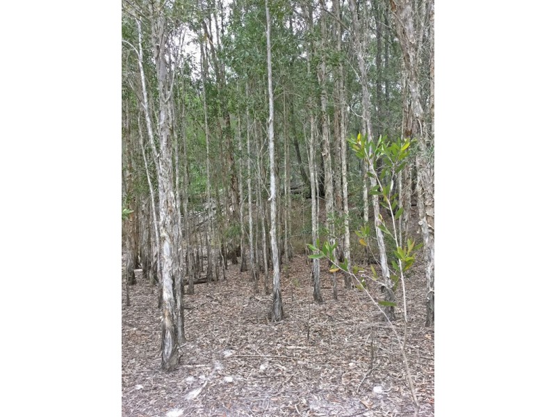 Lot 23 Murrayville Road, Ashby NSW 2463