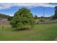 42 Jubilee Street, Townsend NSW 2463