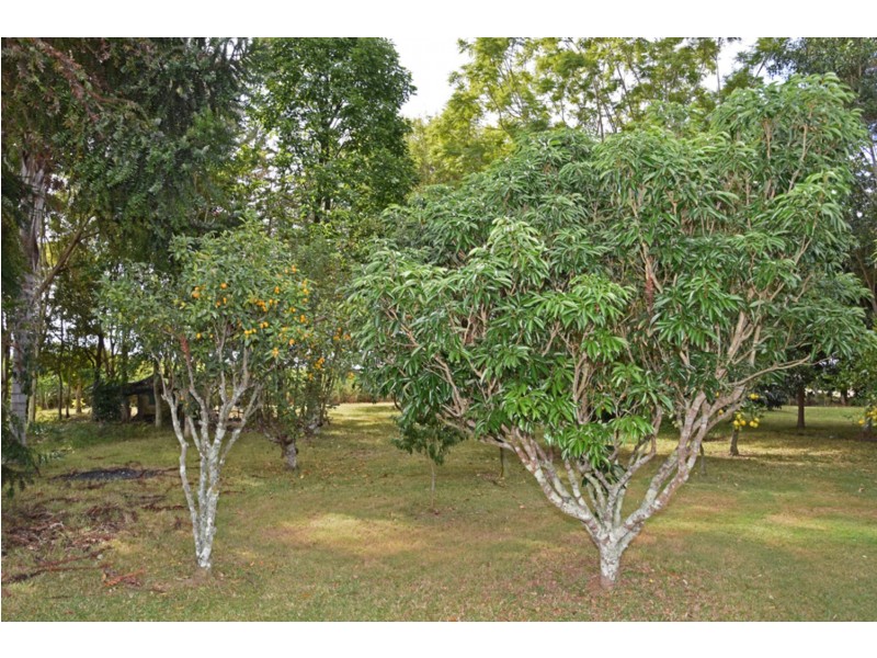 337 Kings Creek Road, Lawrence NSW 2460