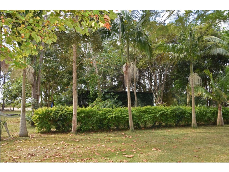 337 Kings Creek Road, Lawrence NSW 2460