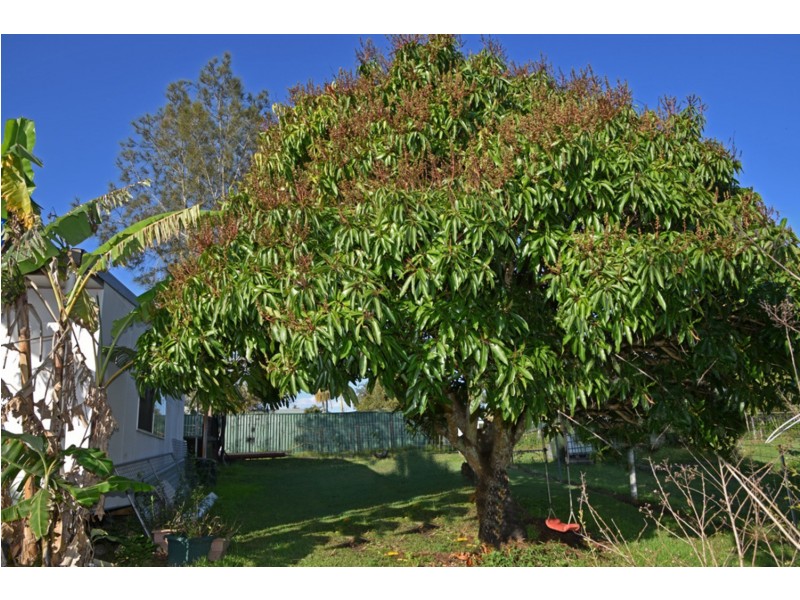 52 Richmond Street, Lawrence NSW 2460