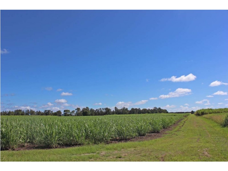 Lot 1 School Road, Palmers Island NSW 2463