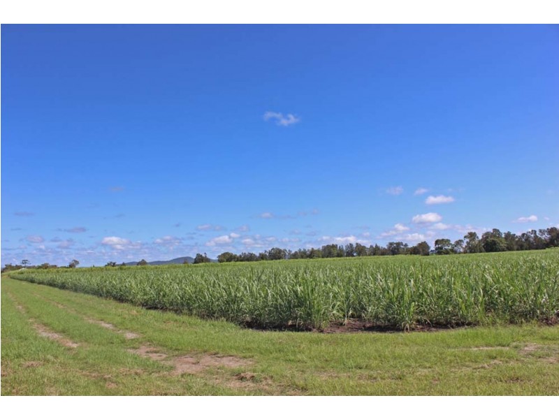 Lot 1 School Road, Palmers Island NSW 2463