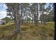 68 Kings Creek Road, Lawrence NSW 2460