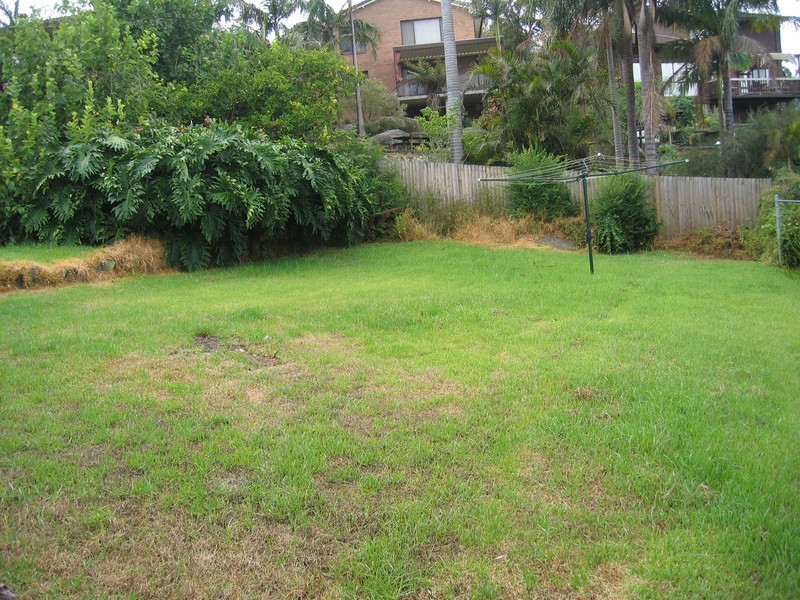 3 Plateau Road, Collaroy Plateau NSW 2097