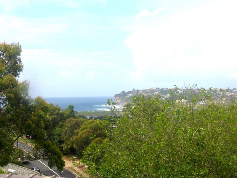 3 Plateau Road, Collaroy Plateau NSW 2097