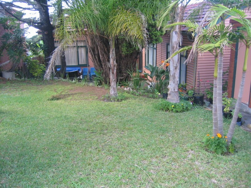 1 Princess Mary Street, Beacon Hill NSW 2100