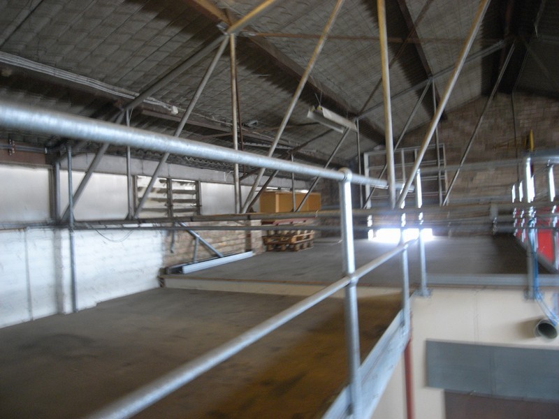 45 Winbourne Road, Brookvale NSW 2100