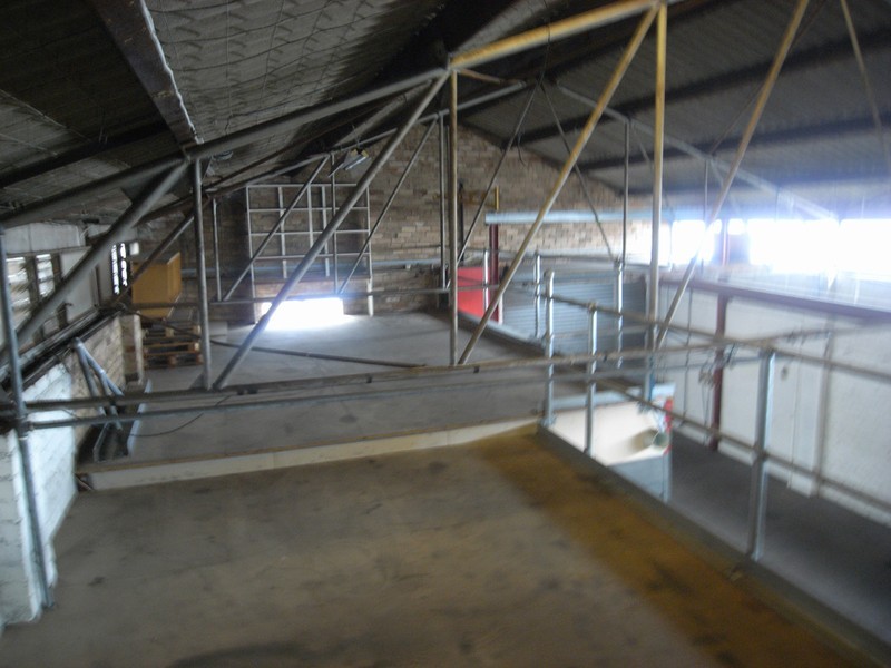 45 Winbourne Road, Brookvale NSW 2100