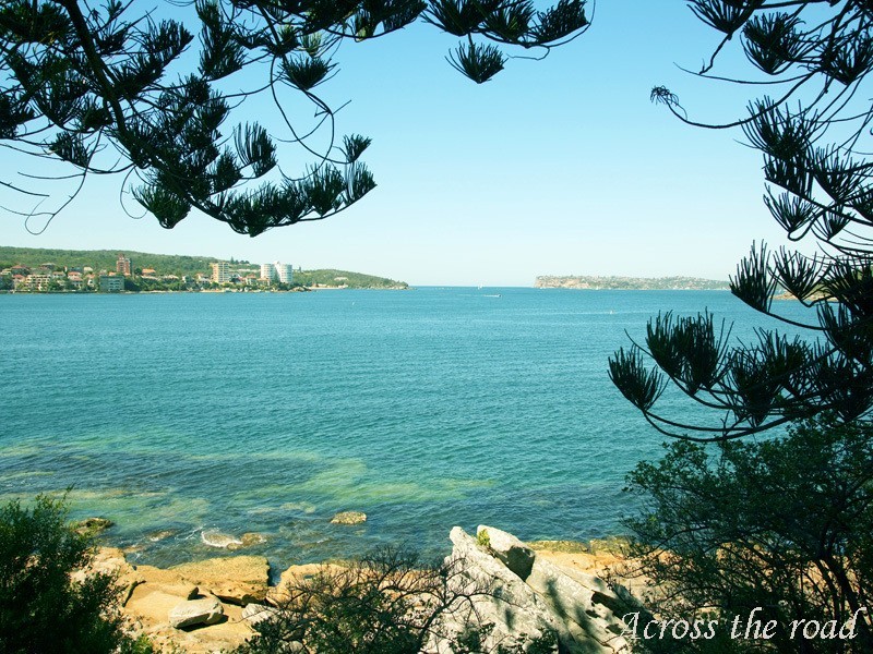 3/1 Margaret Street, Fairlight NSW 2094