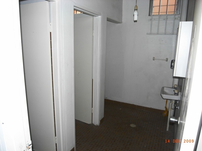 16 Chard Road, Brookvale NSW 2100