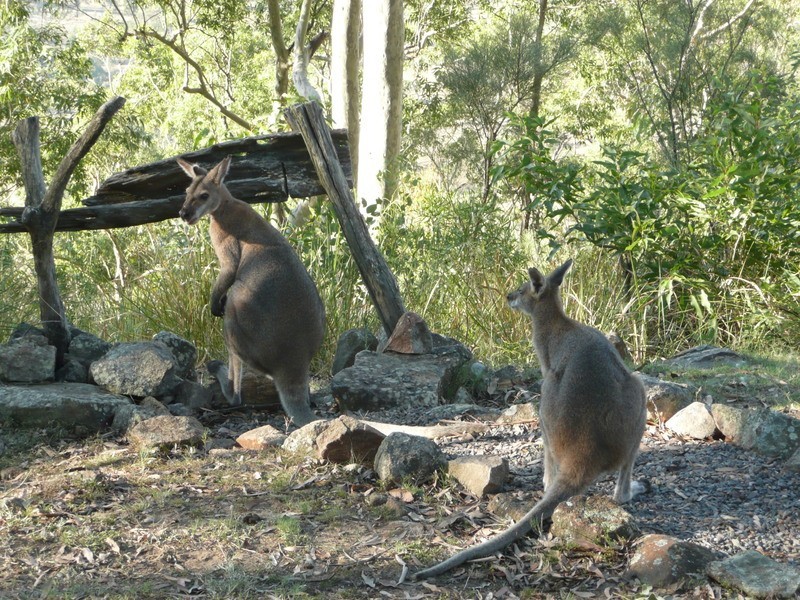 Lot 10 Summer Hill Road, Vacy NSW 2421