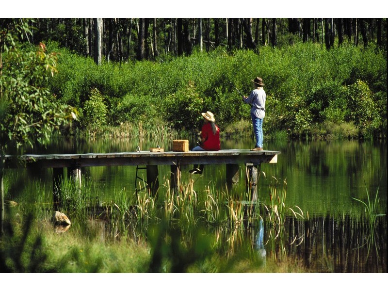 Lot 10 Summer Hill Road, Vacy NSW 2421