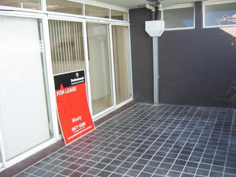 2/5A Raglan Street, Manly NSW 2095