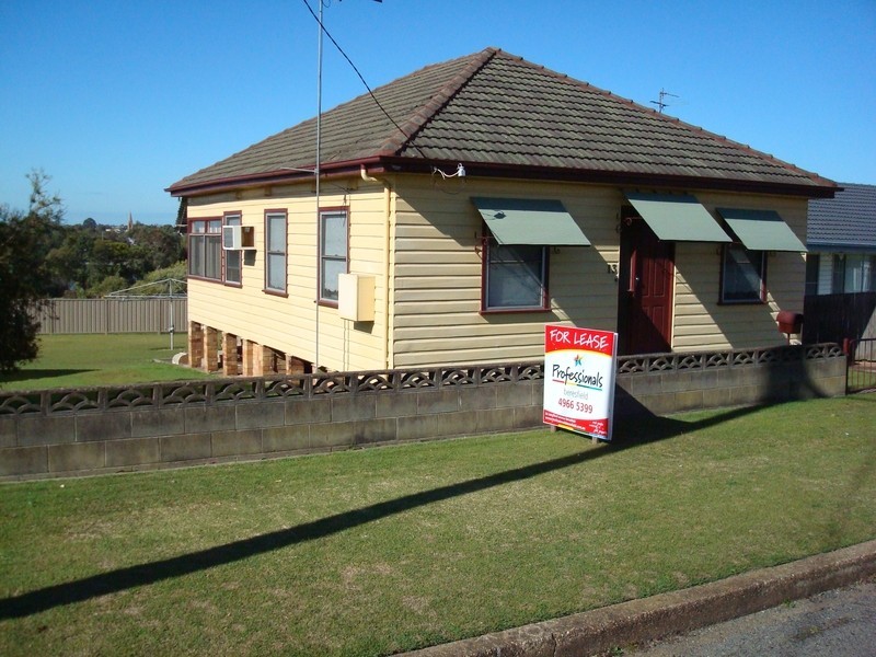 13 Elizabeth Street, Telarah NSW 2320