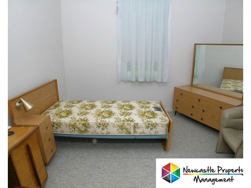 236 Main Road, Cardiff NSW 2285