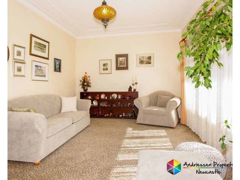 24 Roath Street, Cardiff NSW 2285