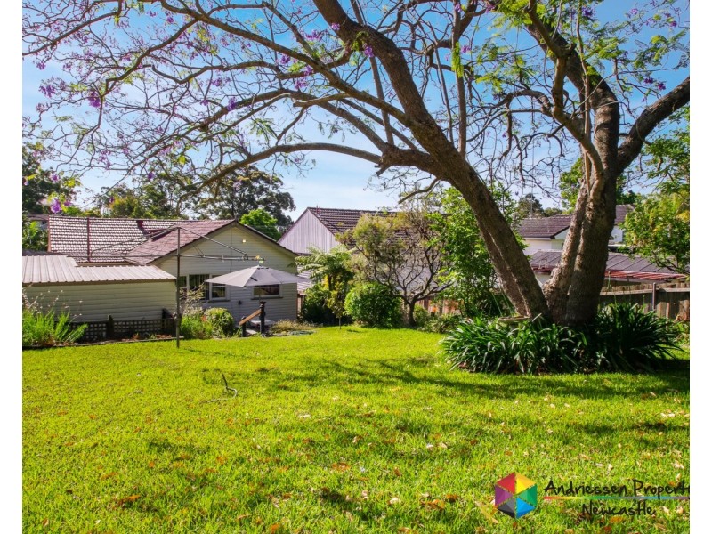 24 Roath Street, Cardiff NSW 2285