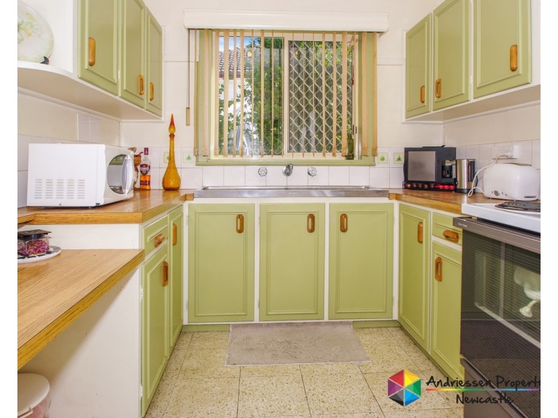 24 Roath Street, Cardiff NSW 2285