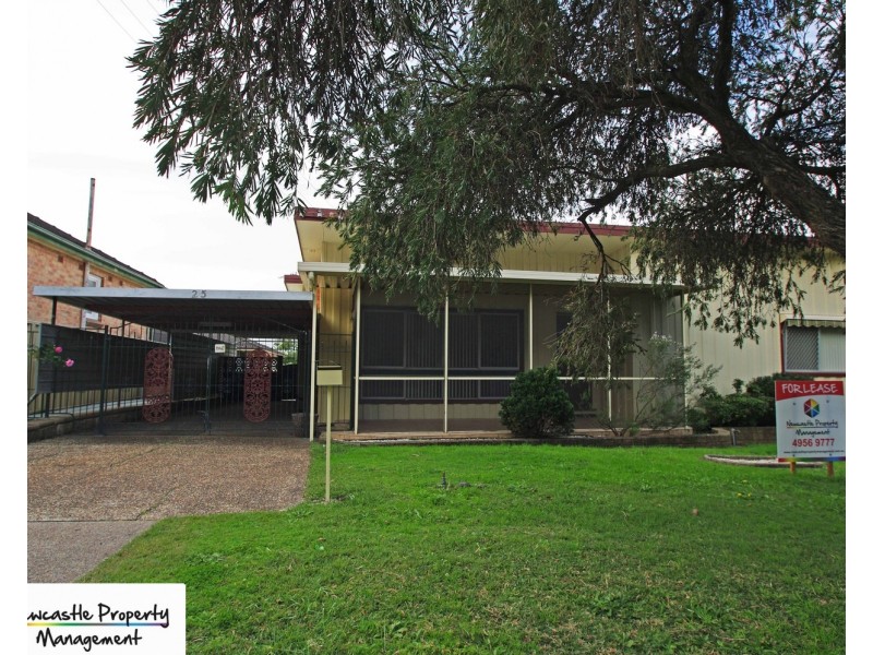 25 Ada Street, Cardiff NSW 2285