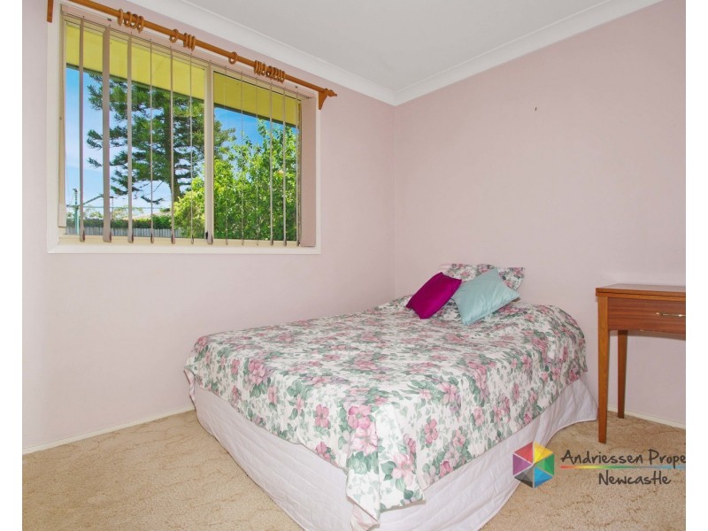2 Grove Place, Cameron Park NSW 2285