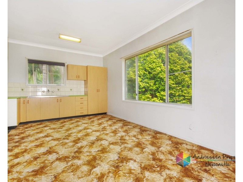 95 Myall Road, Cardiff NSW 2285