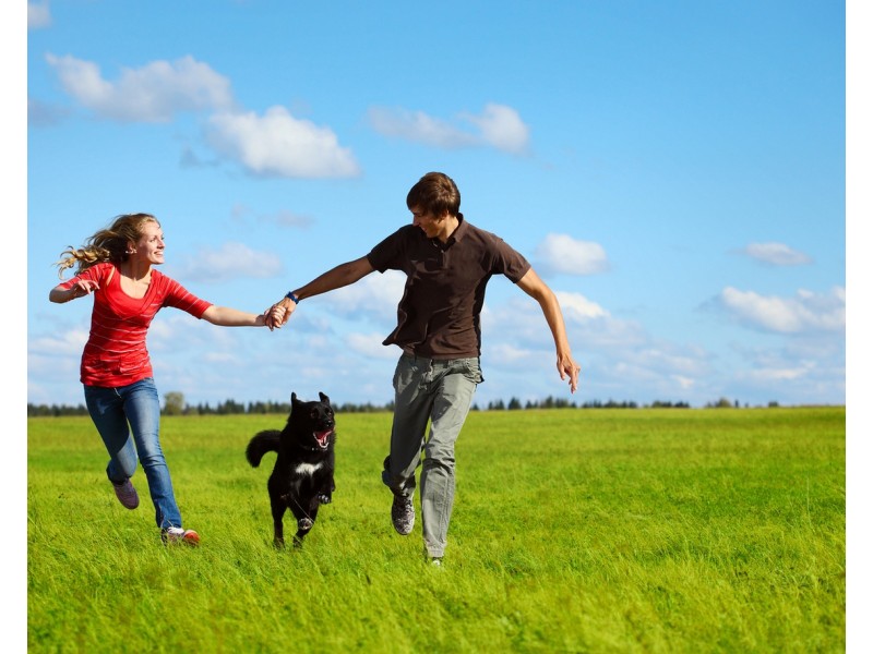 Lot 205 Heartwood Drive, Edgeworth NSW 2285